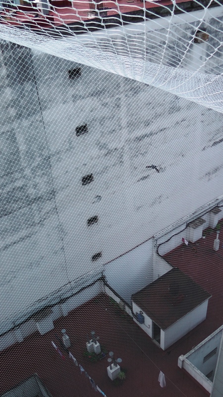 Red anti palomas en pozo de aire de un edificio y paloma en vuelo intentando ingresar